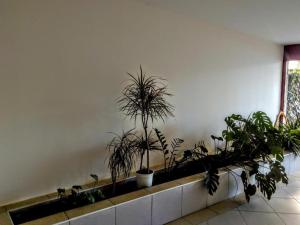 Fotografia z galérie ubytovania Cleopatra Apartment Budapest v Budapešti