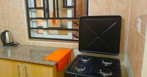 a stove top oven sitting on top of a kitchen counter at Cozy Escape in Ongata Rongai 