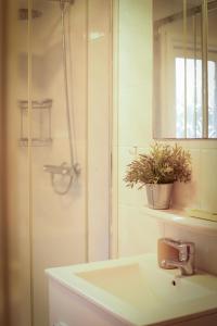 Fenced Backyard with Covered Porch and Free Bikes في Doornspijk: حمام مع حوض ودش مع نبات +28 صورة