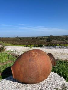 Foto dalla galleria di Vinhas Douradas a Moura