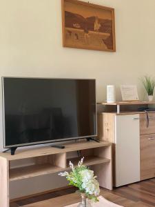 TV a/nebo společenská místnost v ubytování Haus Kampl - Appartement Ödensee