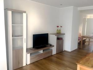 TV a/nebo společenská místnost v ubytování Ferienwohnung Zur Alten Mühle