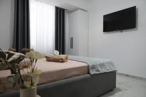 TV a/nebo společenská místnost v ubytování Rozafa Guest Room Center