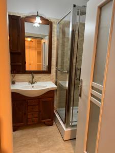 a bathroom with a sink and a shower at Jazz Residence in Piatra Neamţ