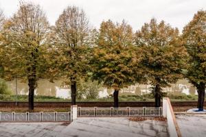 Zahrada ubytování Appartamento Ai Giardini