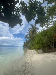 a beach with a palm tree and the ocean at Intum Homestay in Kri +15 photos