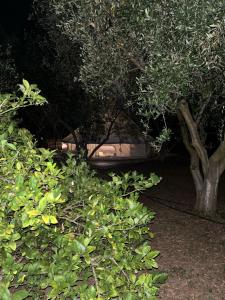 A garden outside Eco Glamping with Pool between Nafplio and Argos