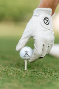 Golf pri hoteli alebo okolí