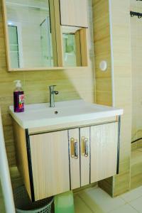 a bathroom with a sink and a mirror at Elegant & Stylish Appartments In Nairobi Kileleshwa in Nairobi +10 photos