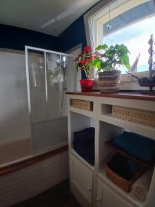 une salle de bain avec une douche avec une fenêtre et un meuble dans l'établissement Chez Solange et Paul, à Mézos 13 autres photos