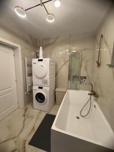 ラダウツィにあるEuro Apartments Radautiの洗面台と洗濯機を備えたバスルーム