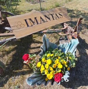un cartello con un mazzo di fiori a terra di Imantass a Salacgrīva