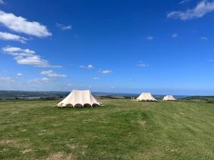 three tents in a field on a grassy field at Springfield glamping in Marwood