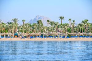 a beach with many straw umbrellas and palm trees at JAZ Sharm Dreams in Sharm El Sheikh