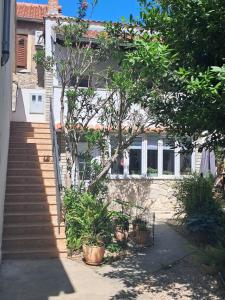 a house with stairs and a tree in front of it at 1918Apartman Šibenik centar,Poljana in Šibenik
