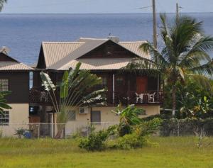 una casa con una palmera frente al océano en Yellow Bird Apartment, en Christ Church