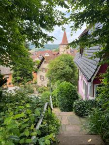 Zahrada ubytování Romantic Gem at Black Forest - Cozy Historic Apartment - 30min to EuropaPark