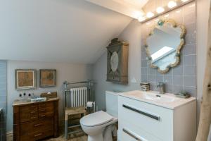 a bathroom with a toilet and a sink and a mirror at Domaine de charme pres de Contis in Saint-Julien-en-Born +16 photos