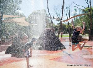 入住Tasman Holiday Parks - Moama on the Murray的客人