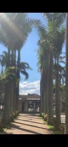 a row of palm trees in front of a building at Apto 3 dormitórios com suíte em São José Dos Campos SP in São José dos Campos +46 photos