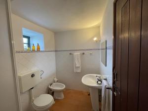 a white bathroom with a toilet and a sink at Casa do Vale - Douro Valley Cottage in Resende +17 photos