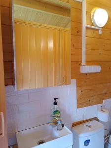 un bagno con lavandino, specchio e WC di Namelis Karklėje a Karklė