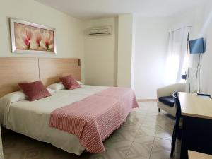 Ein Bett oder Betten in einem Zimmer der Unterkunft Hotel Oasis Familiar