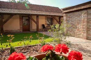 a garden with red flowers in front of a house at Vadvirág Apartman Gyula in Gyula