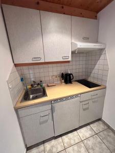 a kitchen with a sink and a counter top at Zum Zunterer in Ehrwald