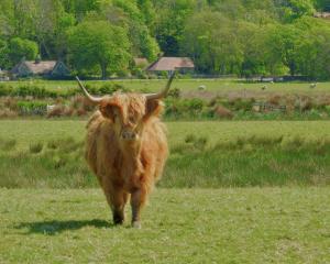 Billede fra billedgalleriet på Bracken Cottage i Killean