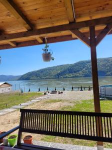 エシェルニツァにあるCasa La Francezuの水の中に鳥がいるビーチのベンチ