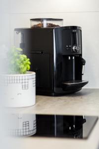 een zwarte magnetron op een aanrecht met een plant bij Piwna Apartament in Gdańsk