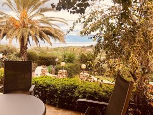 a patio with a table and chairs and a palm tree at Casa vacanze vista mare a Budoni - sam01 in Tanaunella