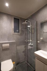 a bathroom with a shower and a toilet and a sink at Katerina's Residences in Vatera