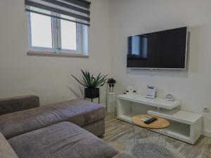Televízia a/alebo spoločenská miestnosť v ubytovaní Apartment Milana
