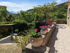une rangée de plantes en pot sur un mur de pierre dans l'établissement Au bord du Tarn, à Vabre