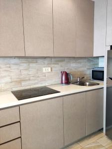 布德瓦Hillside Apartment with Infinity Pool and Sea View的厨房里有水槽和微波炉