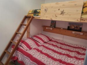 een slaapkamer met een stapelbed met een ladder bij Superdevoluy Appart Rez de Neige in Le Dévoluy