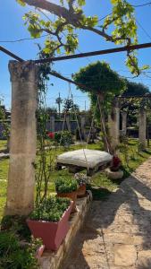 Zahrada ubytování B&B Nonno Ciccio