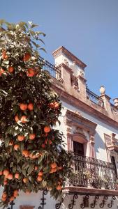 an orange tree in front of a building at La Payana, Sierra de Grazalema Consultar precios en LA PAYANA Prado del Rey in Prado del Rey