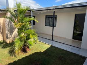 a palm tree in front of a house at Pousada Locks, Cascavel, Paraná - 02 in Cascavel