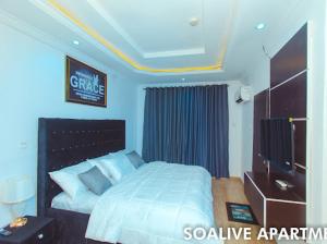 ein Schlafzimmer mit einem Bett in einem Zimmer mit blauen Wänden in der Unterkunft Soalive Apartments in Lagos