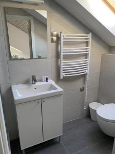 Koupelna v ubytování Tenisz Apartman