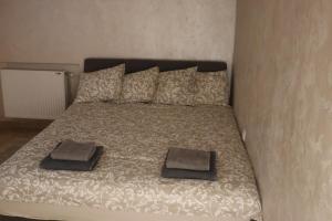 Ένα ή περισσότερα κρεβάτια σε δωμάτιο στο Modern Apartment with Jacuzzi in Novi Sad Center