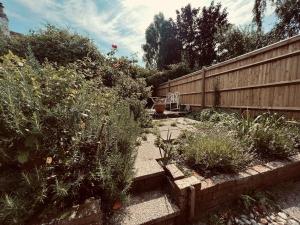 a garden with a fence and some plants at Nollaig Beachside Bliss - Pass the Keys in Rye