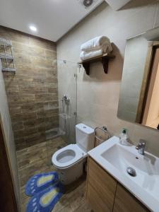 a bathroom with a toilet and a shower and a sink at Chic 2BR Apt - Walk to Beach in Essaouira