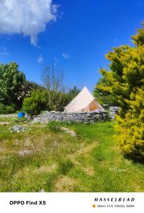 a tent in a field with grass and trees at Bohemian Bell Tent in Kinvara County Galway in Kinvara