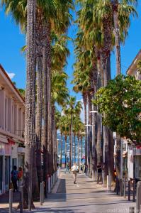 a street lined with palm trees on a sidewalk at La Garoupe-Gardiole in Antibes
