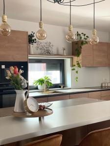 Kuchyň nebo kuchyňský kout v ubytování Apartments Wally