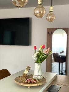 TV a/nebo společenská místnost v ubytování Apartments Wally